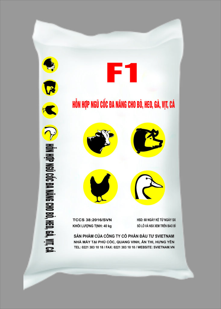 F1