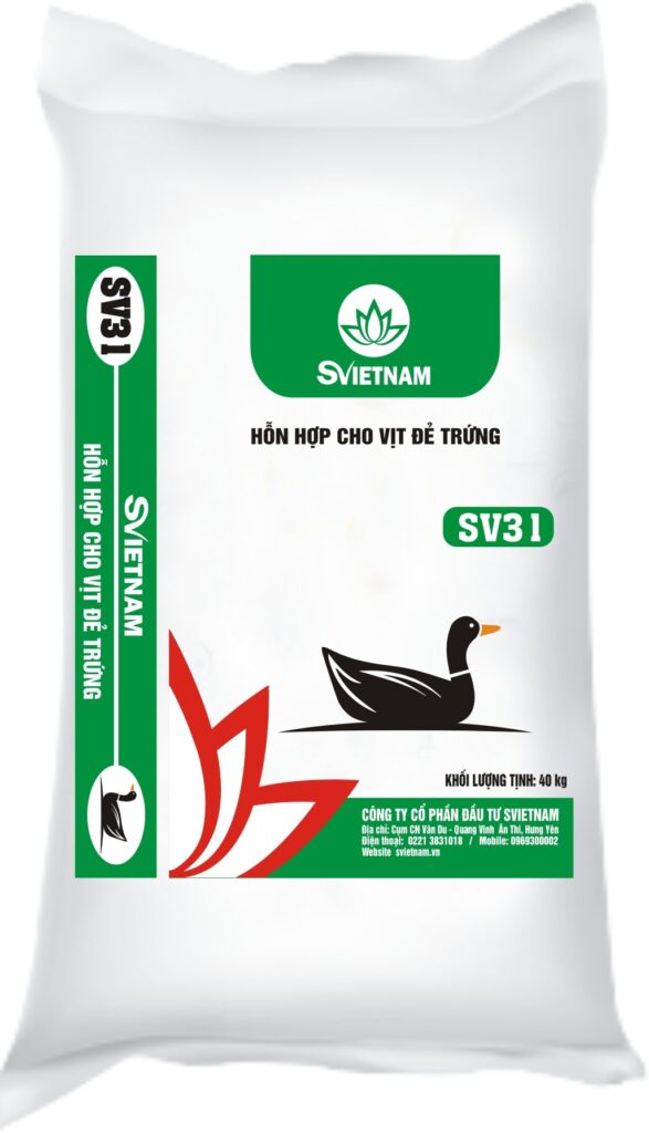 SV 31